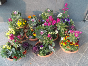 Dscn7215